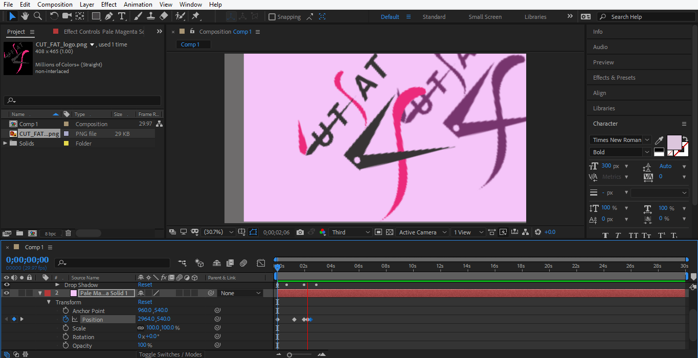 final animation in logo after effects