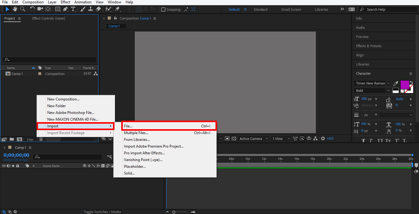import file (Logo Animation in After Effects)