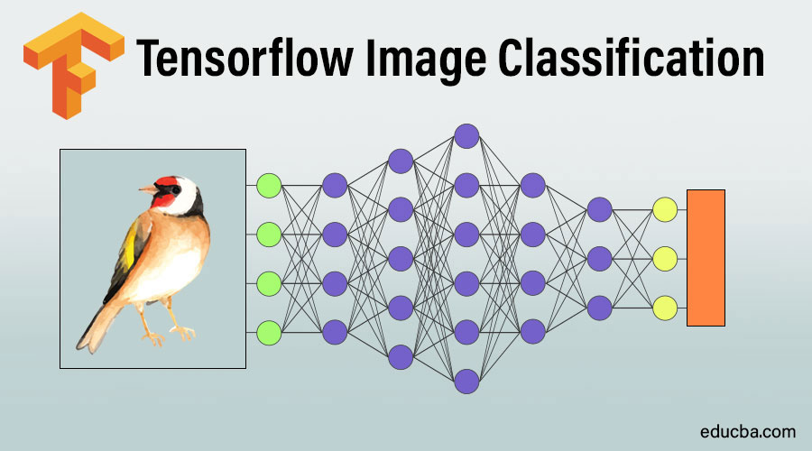Tensorflow Image Classification
