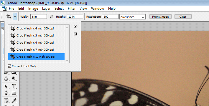8x10 crop