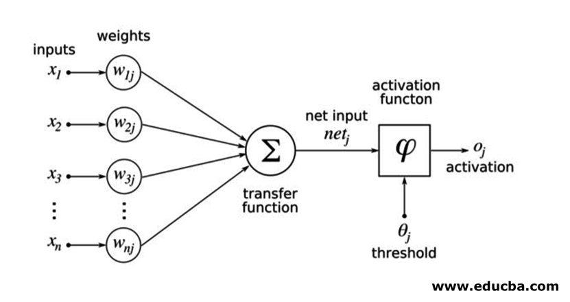 The Architecture of Neural Networks