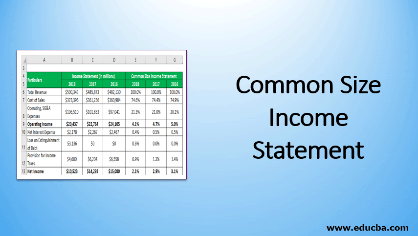 Common Size Income Statement 3