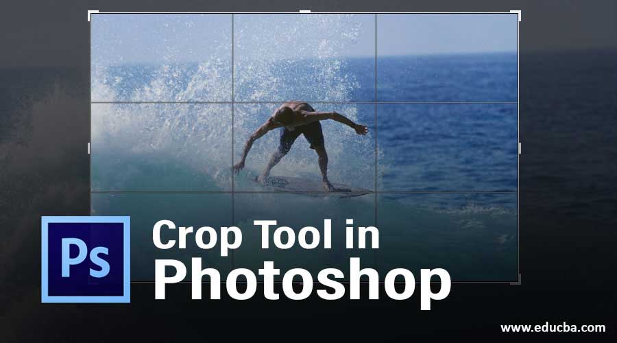 Crop Tool in Photoshop