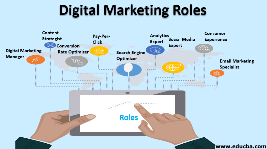 Digital Marketing Roles