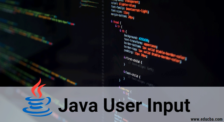 Java User Input