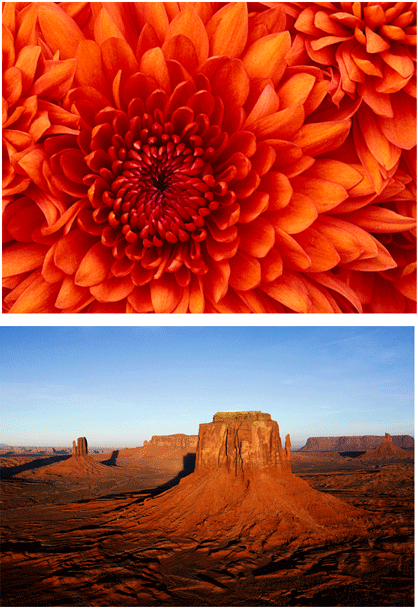 jQuery querySelector 4