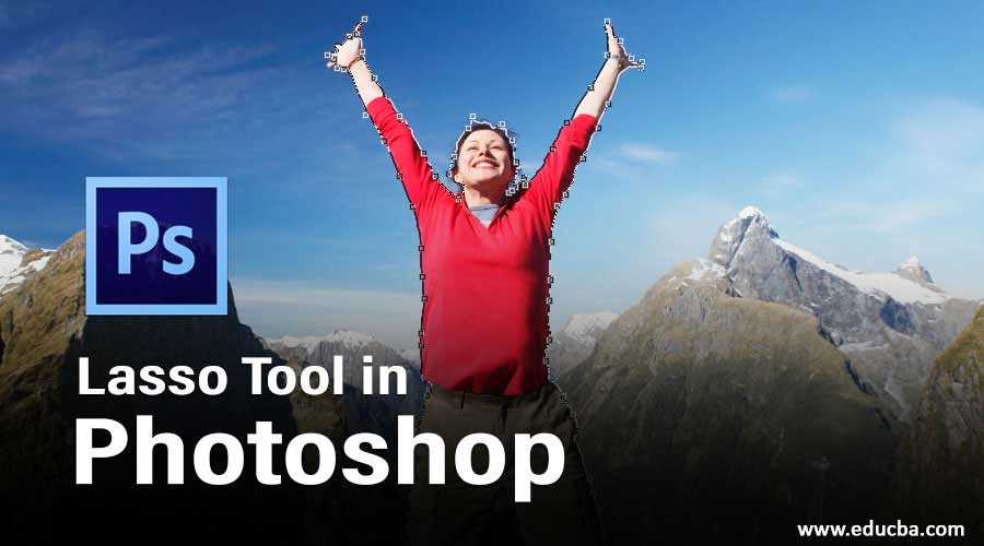 Lasso Tool in Top 3 Types and Process to Use Lasso Tool