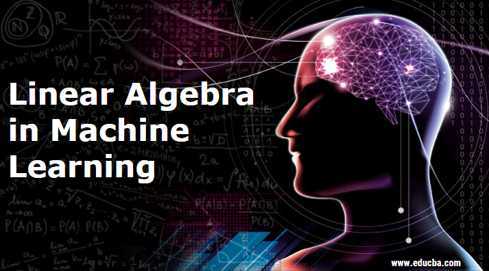 Linear Algebra in Machine Learning