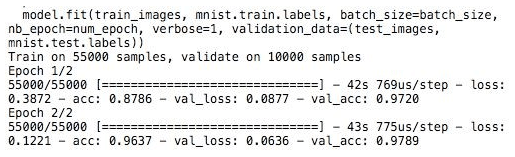 Training of the model