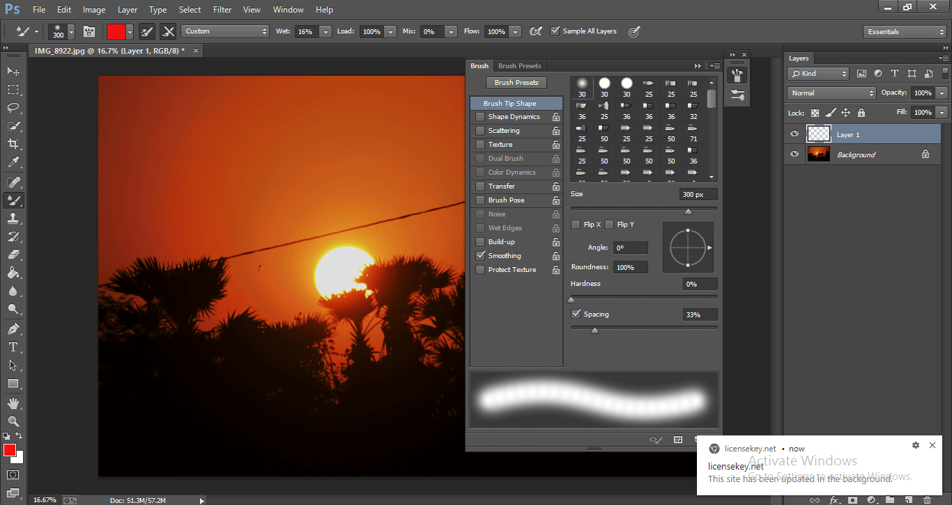 Photoshop Mixer Brush Tool 1-11