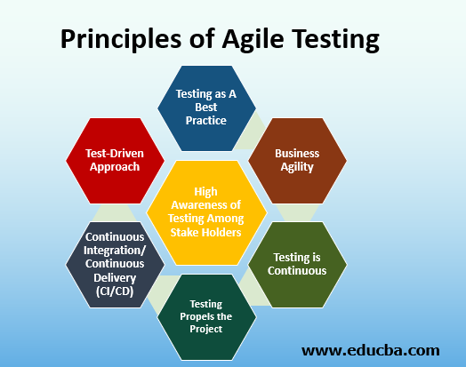 Principles of Agile Testing