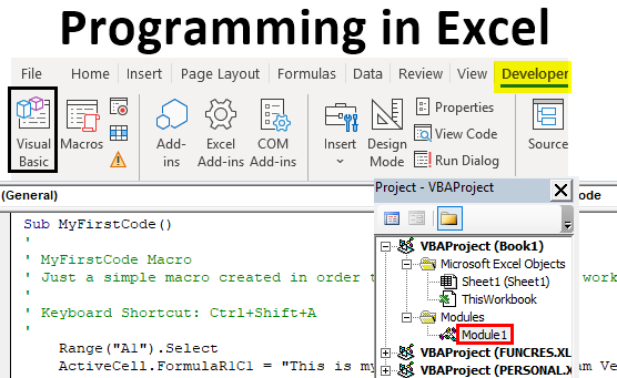 what language can you use with visual basic for excel