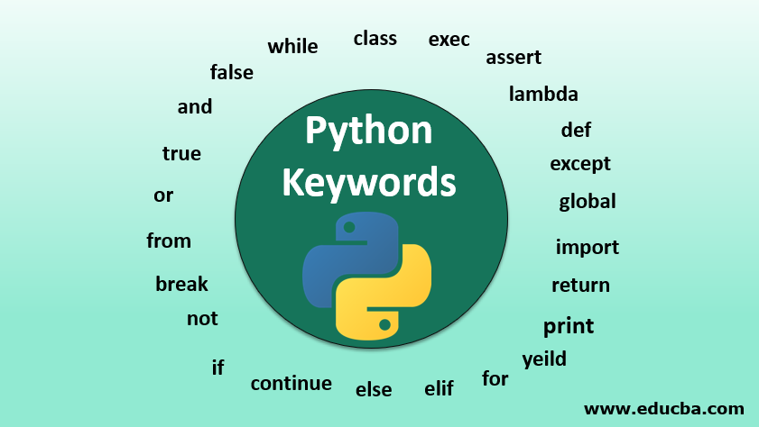 python keywords assignment