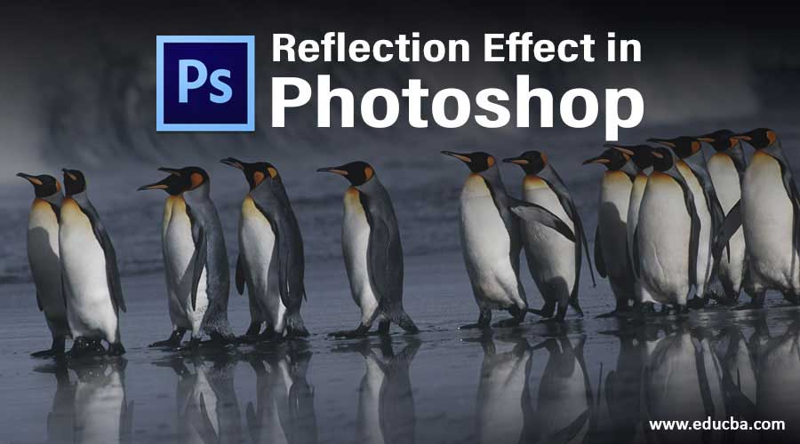 Reflection Effect in Photoshop
