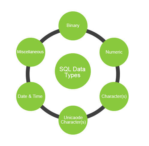 Types of SQL Data