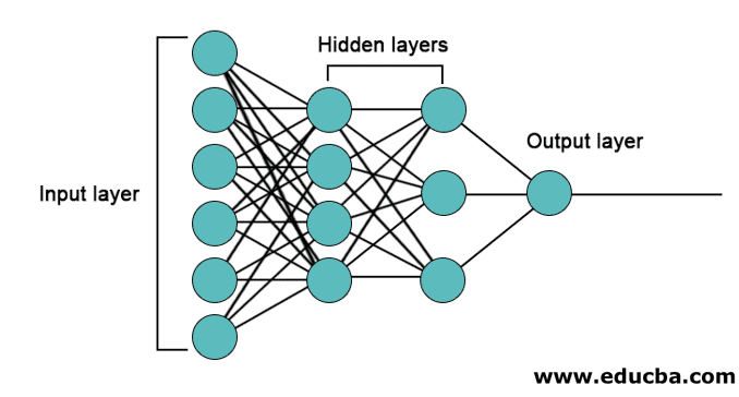 The Architecture of Neural Networks