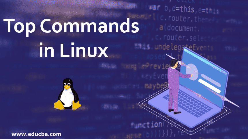 Top Commands in Linux