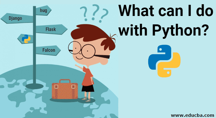 What can I do with Python