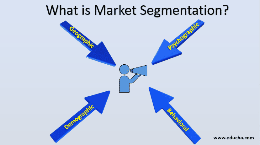 What is market segmentations
