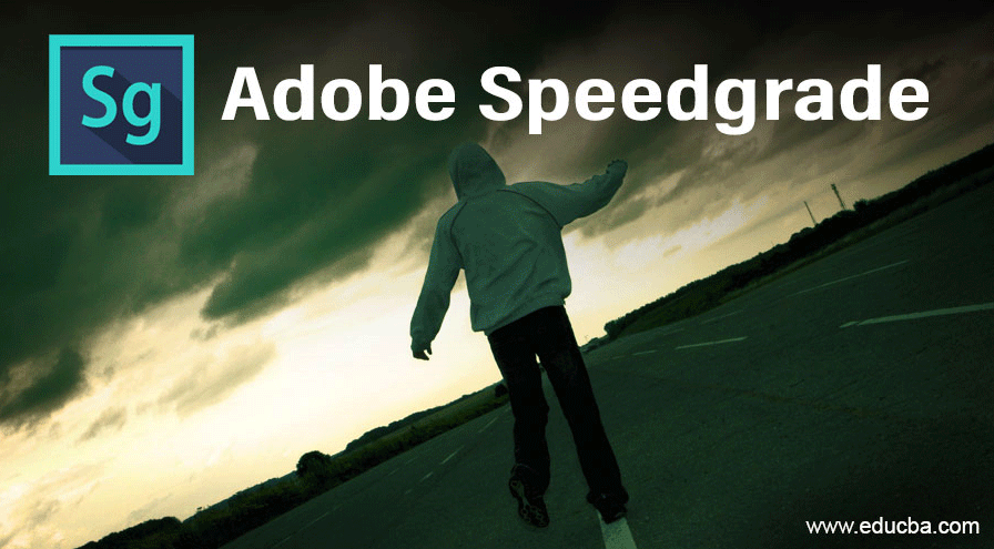 Adobe Speedgrade