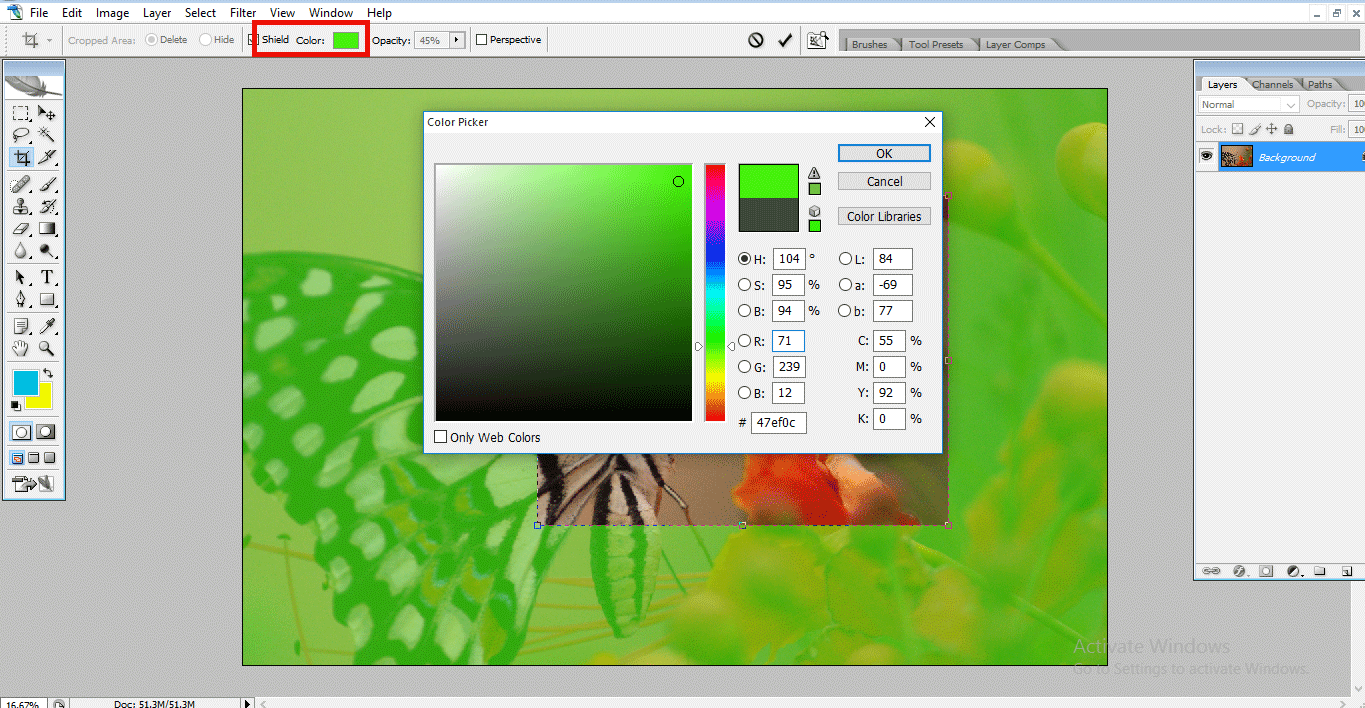 background green (Crop Tool in Photoshop)