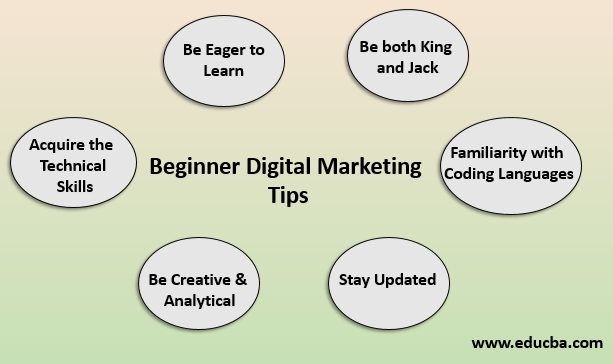 beginner digital marketing tips