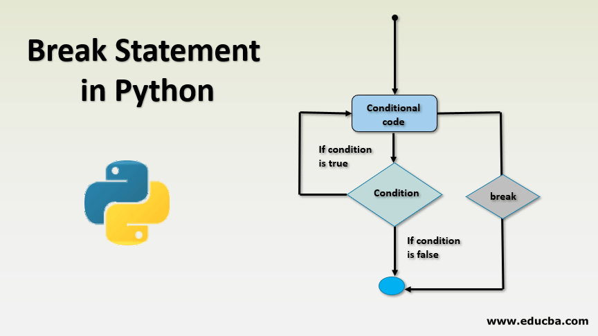 Break Statement in Python