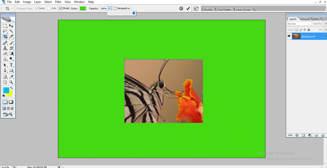 clolor filled (Crop Tool in Photoshop)