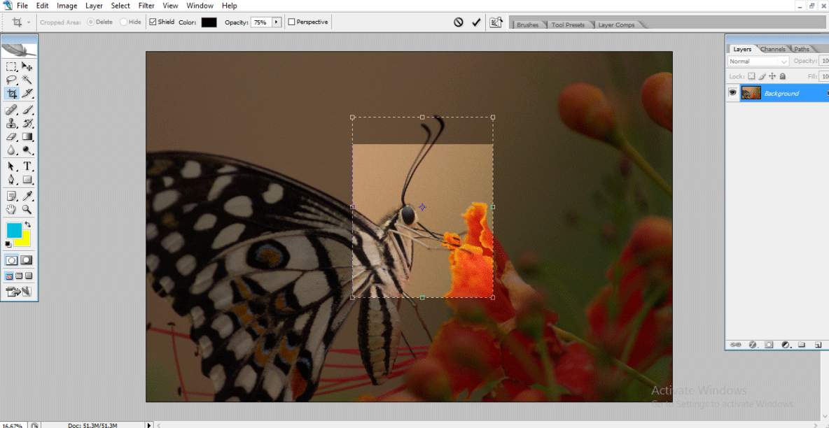drag rectangle (Crop Tool in Photoshop)