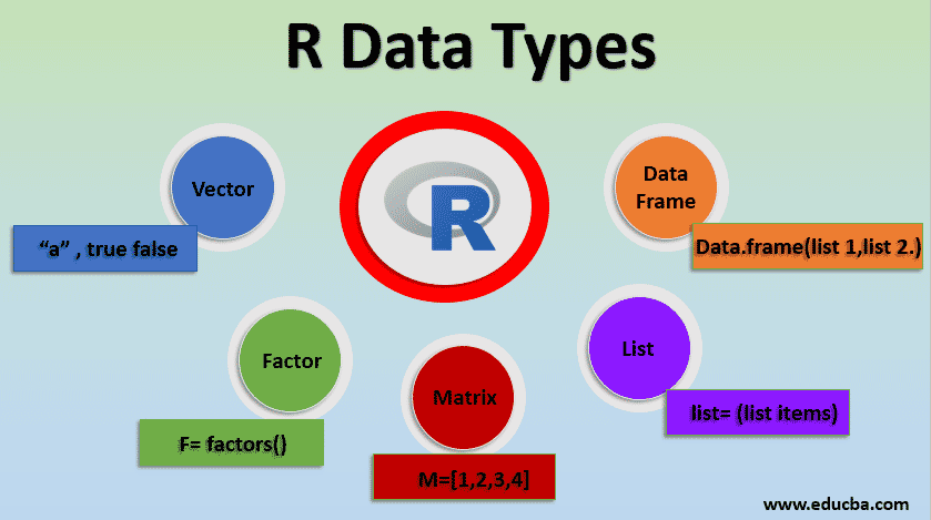 r data types