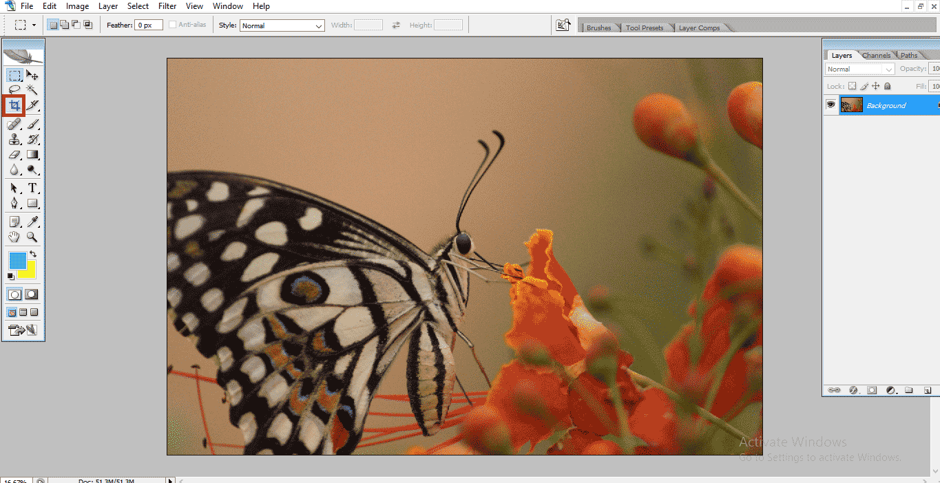 select crop (Crop Tool in Photoshop)
