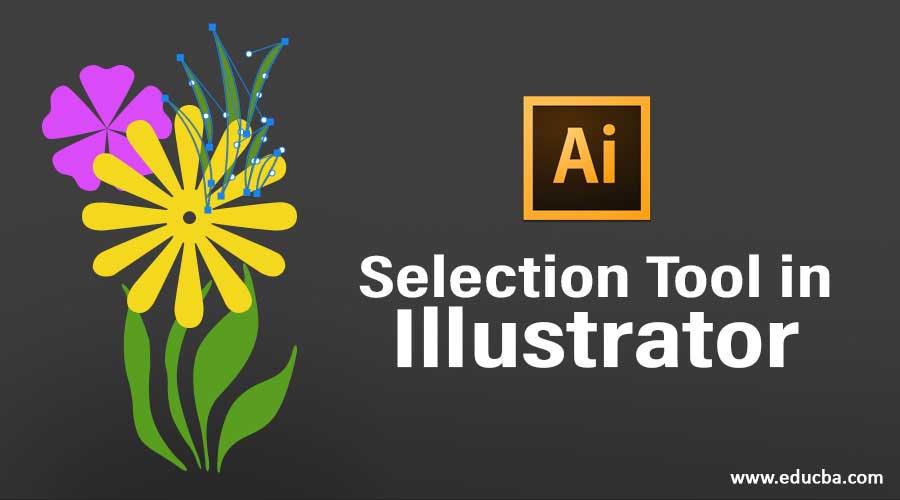 selection tool in illustrator