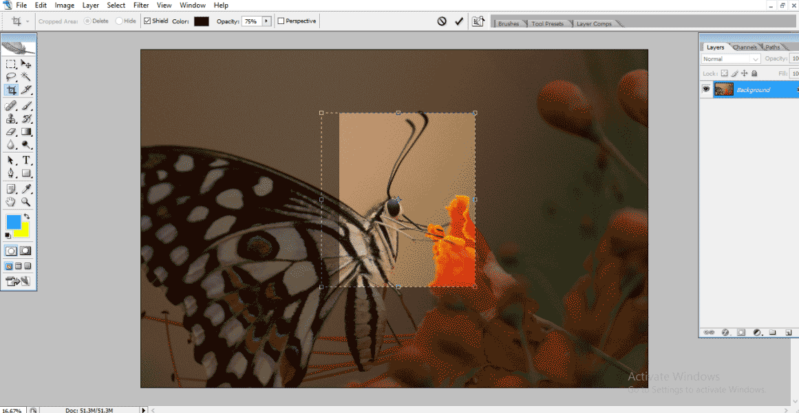 set rectangle (Crop Tool in Photoshop)