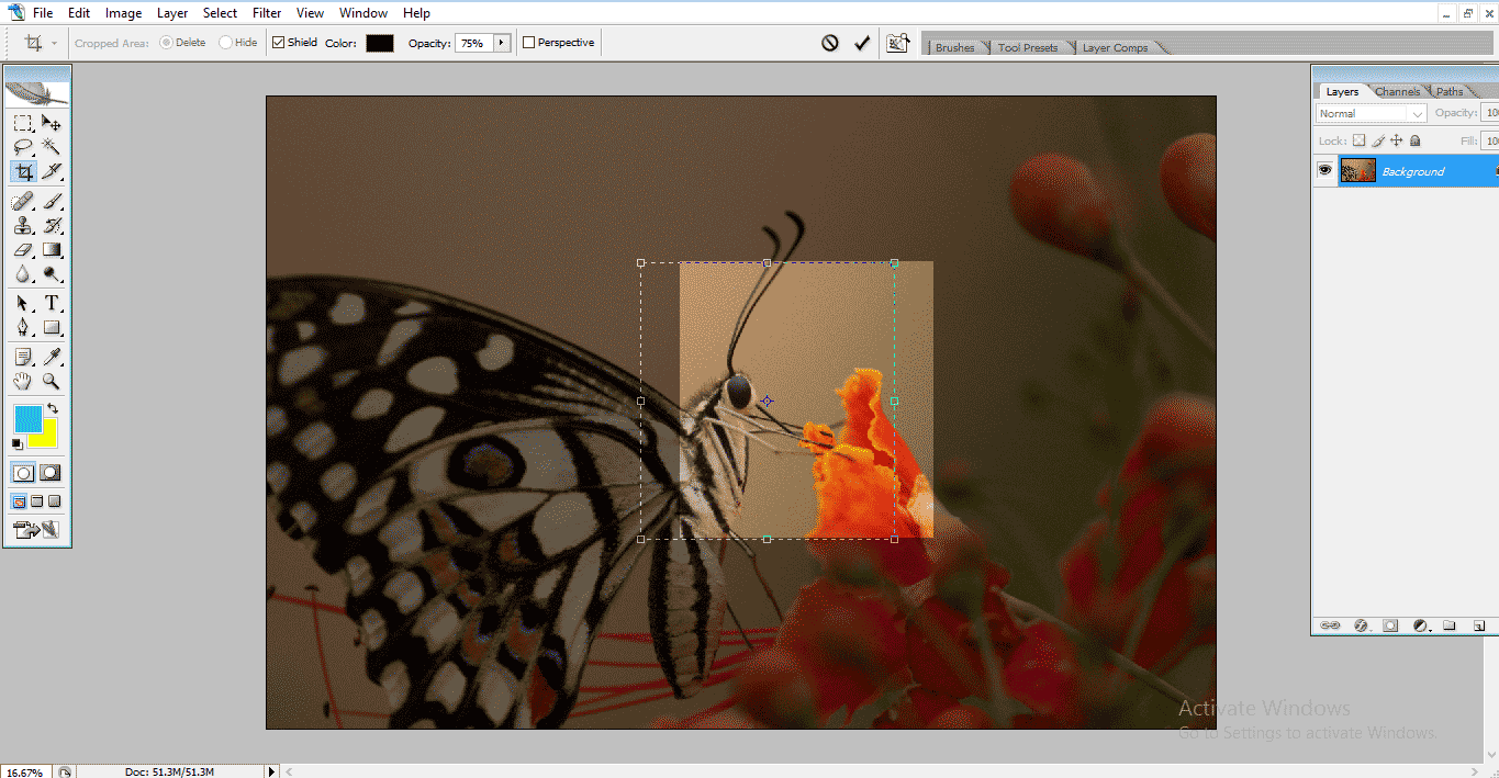 set rectangle2 (Crop Tool in Photoshop)