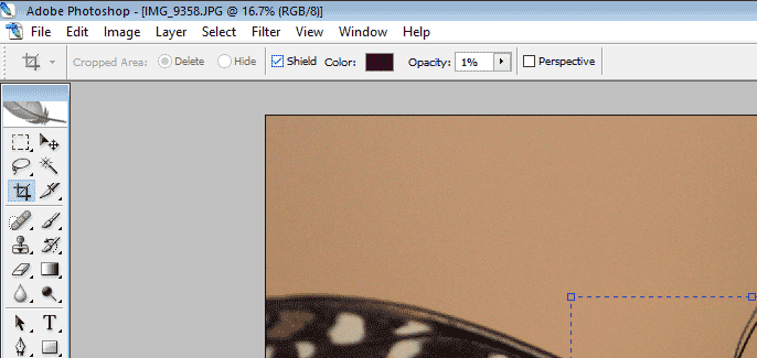 sheild color (Crop Tool in Photoshop)