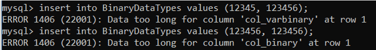 binary data types