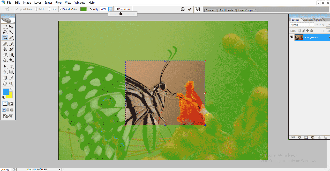 transpency 50% (Crop Tool in Photoshop)