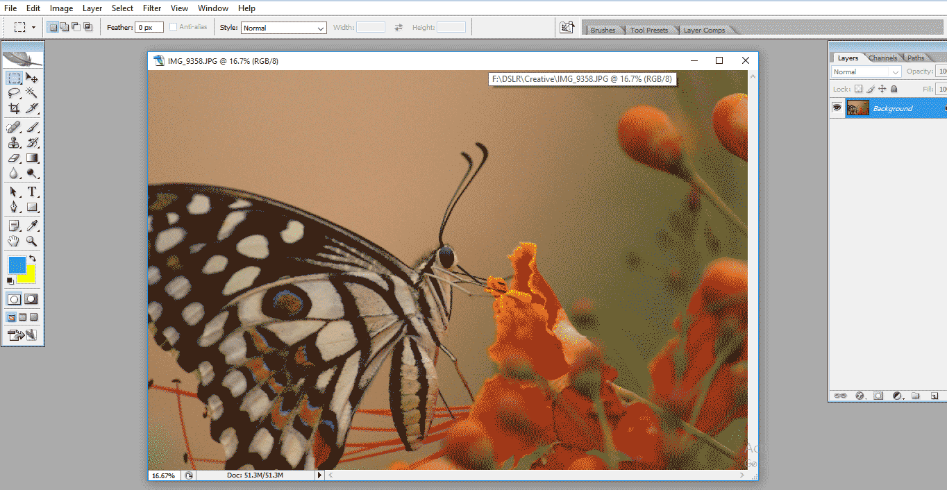 working image (Crop Tool in Photoshop)
