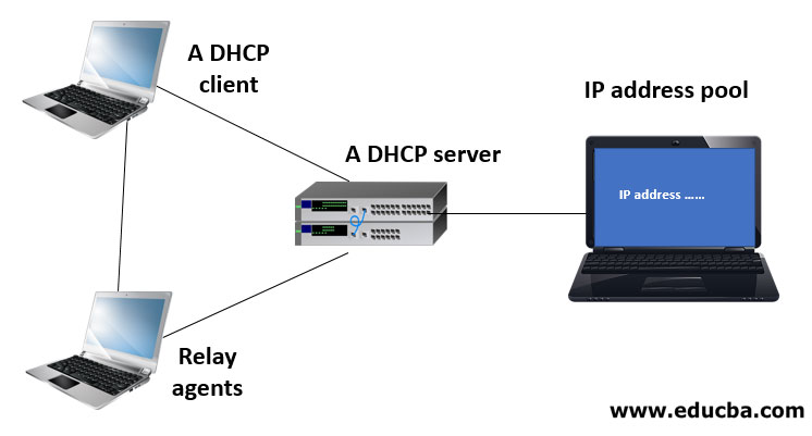 Components of DHCP