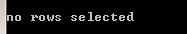 no rows selected