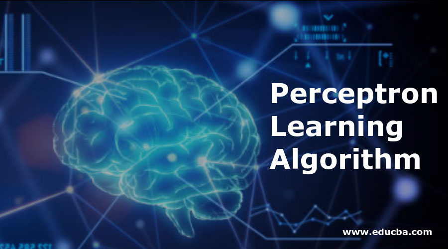 Perceptron-Learning-Algorithm