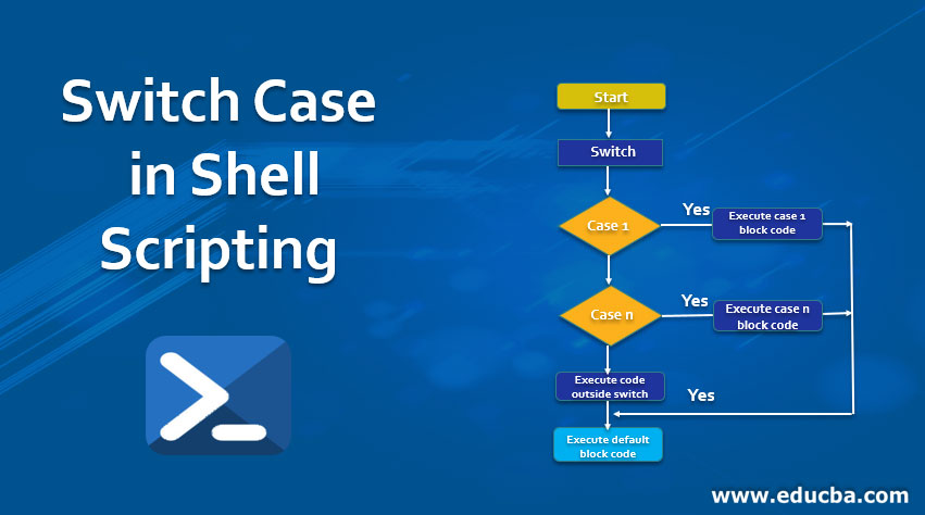 Switch Case in Shell Scripting