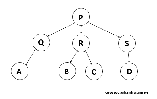 Types of Trees in Data Structure 1