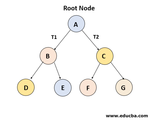 Binary Tree
