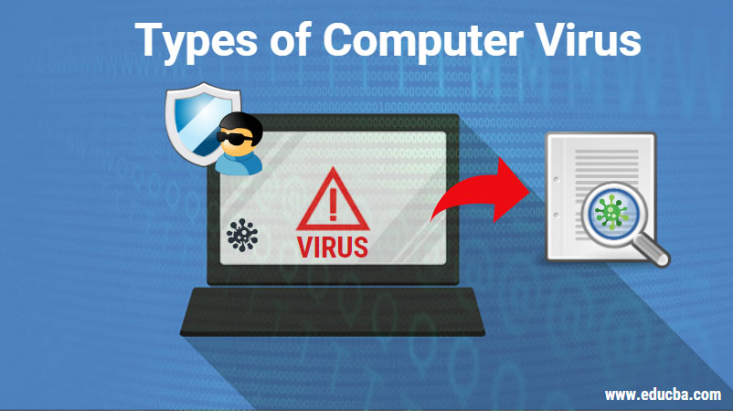 Types of computer virus