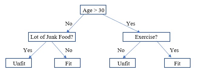 What is Decision Tree 1-1