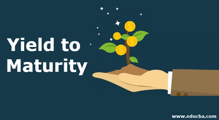 Yield to Maturity