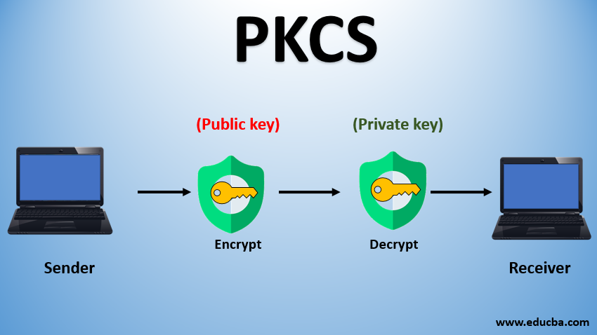 Public Key Cryptography Standards