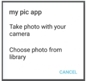 popup for choosing an image.