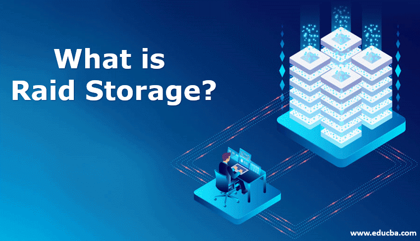 what is raid storage?